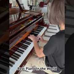 The BEST PIANO in the WORLD 🌎 #piano #pianist #stelioskerasidis #prodigy #steinway