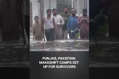 Pakistan Floods: People Wade Through Knee-Deep Water, Camps Set Up for People in Punjab | N18G