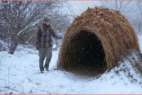Top 5 Survival Bushcraft Shelters You Can Build in the Wild