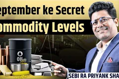 What Will Happen to Commodities Prices in September? Monthly Analysis!