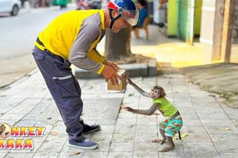 Monkey Kaka is very good, her goes to get the goods himself.