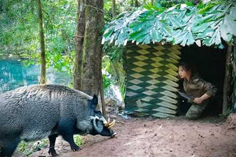 Found wild boar tracks, built emergency shelter, a sleepless night, survival alone