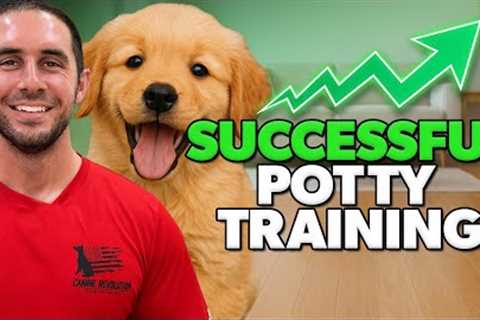 Puppy Potty Training in under 10 minutes - PROVEN Method That Works!