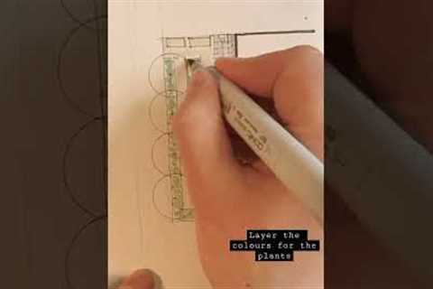 Landscape Architect sketches a garden design - Watch how its done!😀