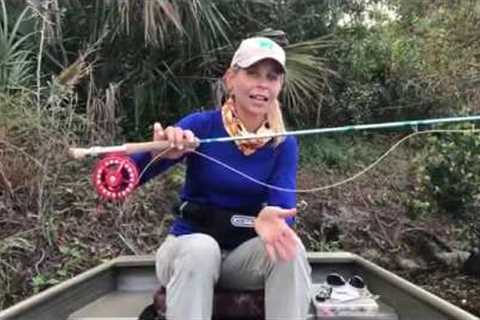 Fly Fishing: Beginner Fly Fishing Gear Checklist