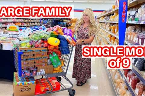 Shop with Me at America's Cheapest Grocery Store September 2025
