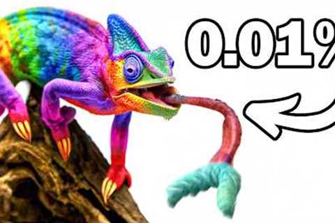 I Got The Rarest Pet Lizard