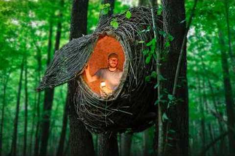 Building a Warm and Cozy NEST | Bushcraft tree house, Survival shelter