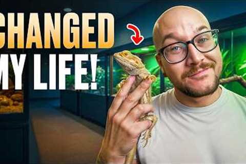 5 Reptiles That Changed My Life!
