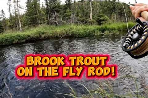 BROOK TROUT (on the fly)! (S2:E34)!  #youtuber #contentcreator #flyfishing #fishingvideos 