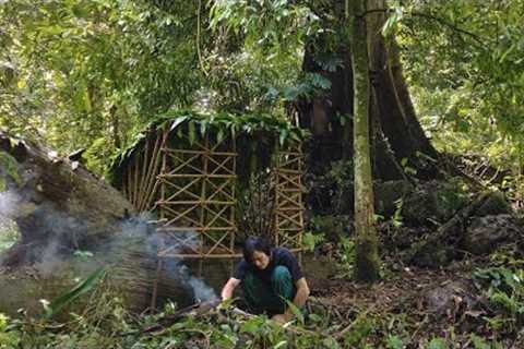 Jungle Survival: 🪓🏹🔥 Building a Shelter on a Fallen Tree  &amp; Setting Wire Traps