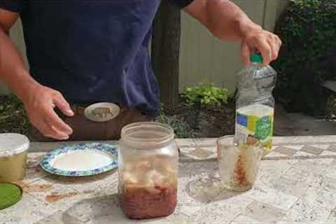 How to make the BEST CATFISH BAIT recipe in the world!