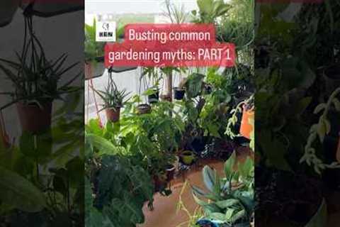 Common gardening myths! Know the TRUTH! #gardeningtips #greenthumb #indoorgardening #gardenideas