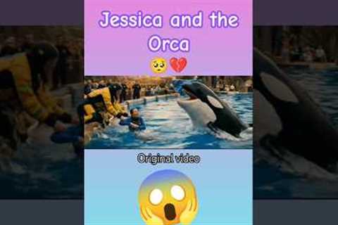 Jessica and the Orca Fish Video That Was Going Viral on Social Media #jessica #orca #trending