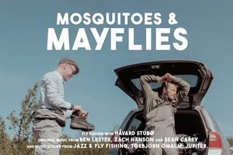 Mosquitoes &amp; Mayflies - The Peculiar World of Dry Fly Fishing