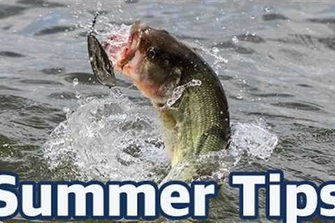 How to catch bass in the summer - In-depth fishing advice and lure choices