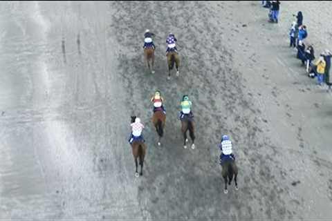 Laytown races: the sights and sounds of horse racing on the beach!