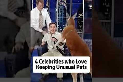 4 Celebrities who Love Keeping Unusual Pets.#actors #celebrities #hollywood #usa #foryou