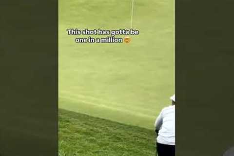 Landed it in the rough! Crazy work 😳