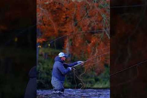 Fly casting is a fishing technique that requires a high level of skill