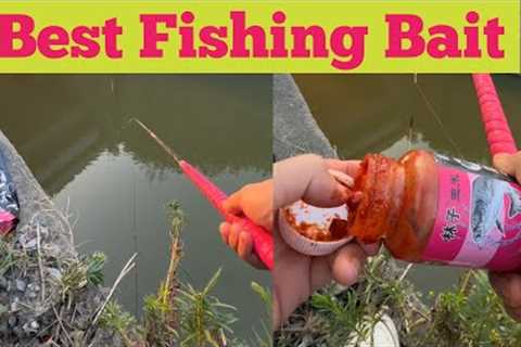 Best Carp Bait Choices: A Beginner's Guide। Carp Fish Baits। @villageLife_Fishing