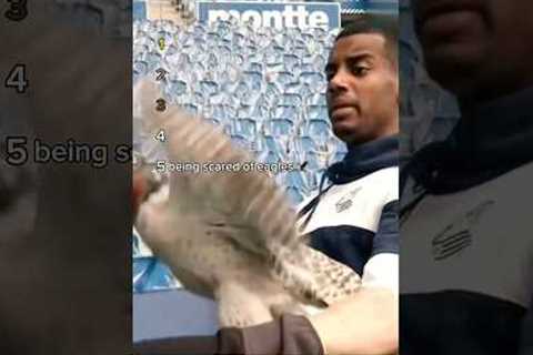 Top 5 ALEXANDER ISAK Funny Moments 😂 #football #liverpool #lfc #top5 #funny #viral #shorts #fyp