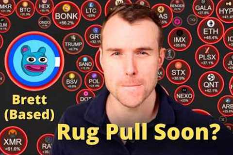 The Crash In Brett - A Hidden Opportunity? 🤩 Base Chain Crypto Meme Token Analysis
