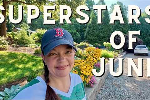 Flower Power!  My Garden's June Superstars