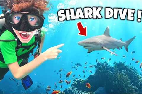 KIDS Dive with SHARKS, TURTLES, and BARRACUDA! River &amp; Wilder Show