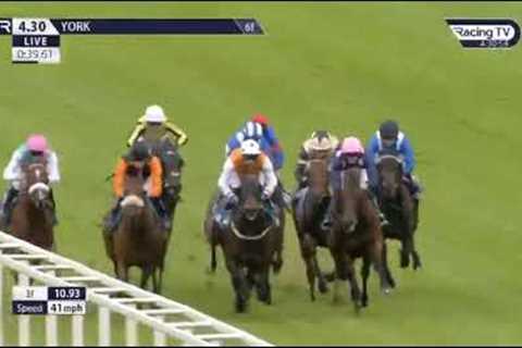 Today.😢😥😭😭AT 1630-- York-- TODAY,, LIVE RACE;;; POOR HORSE AND THE JOCKY FELL OFF SO SAD..!!!!!