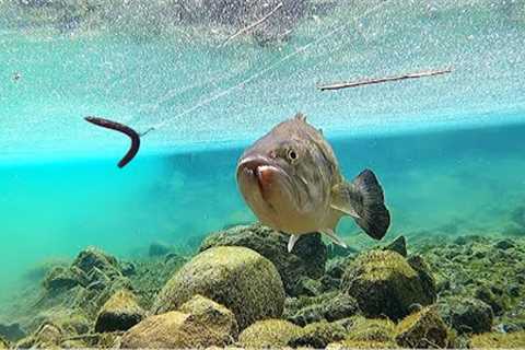 DROPPING A GOPRO UNDERWATER AND FISHING AROUND IT!