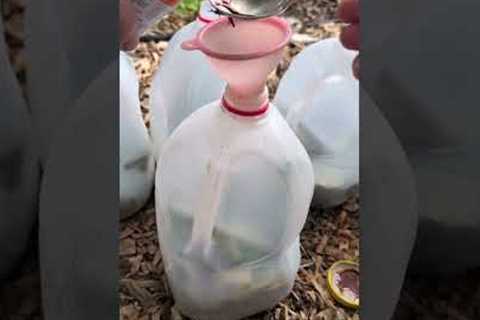 Don't buy fertilizer! Make your own with simple ingredients! #garden #growth #midgesmagic #magic