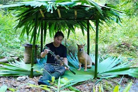 Wandering In The Jungle, Making A Shelter From Bamboo, Survival Alone | EP.491