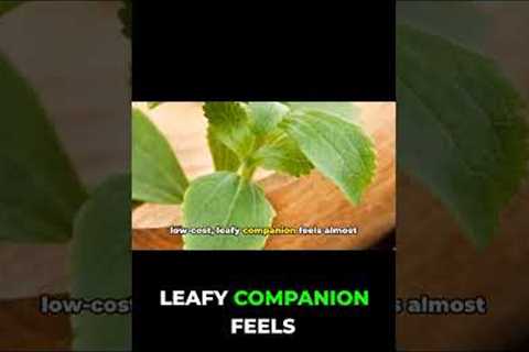 Grow This Plant At Home