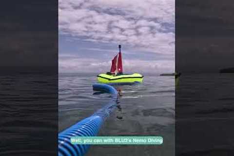 Travel-Friendly Dive System🤿