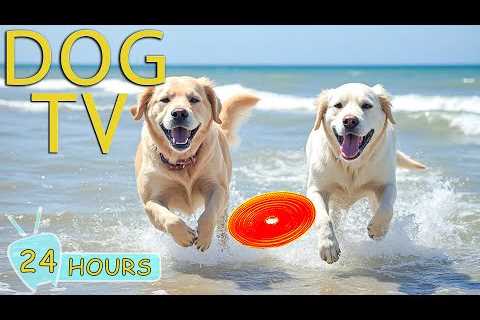 DOG TV: Video Relax All-Day for Dogs When Home Alone - Best Collection Music for Dogs