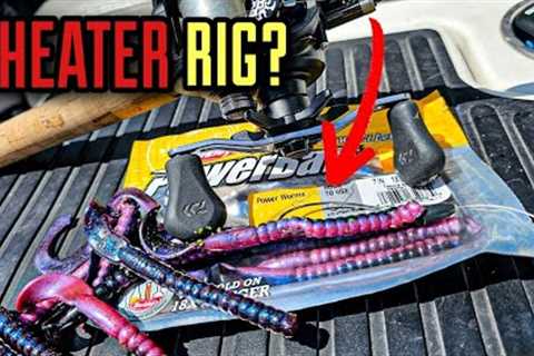 This Rig is a CHEAT CODE for Bass NOW!