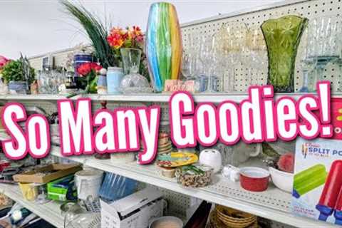 🛍Goodwill has the Goodies! | Thrift with Me + A Cool Vintage Find 2025
