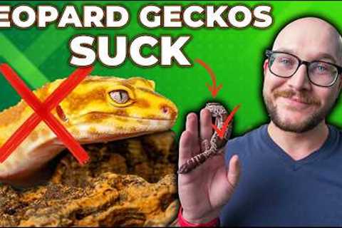 DO NOT Get a Leopard Gecko! Get This Lizard Instead!