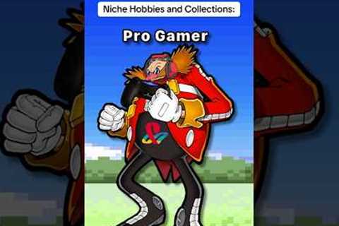 Characters with Niche Hobbies and Collections: #sonic