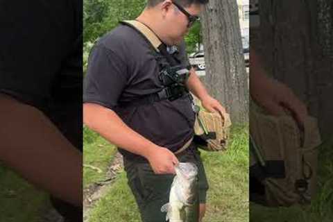 The clear A Rig gets the hogs! #bassfishing
