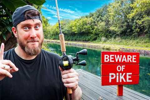 3 Years of Fishing In My Garden... Is Today the Day?