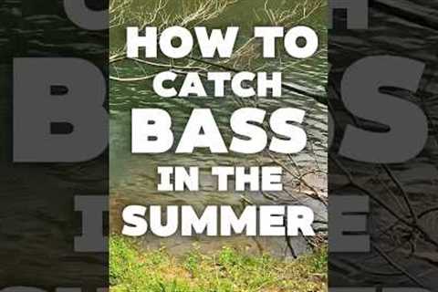 How to Catch More Bass in Summer (Tips + Techniques)