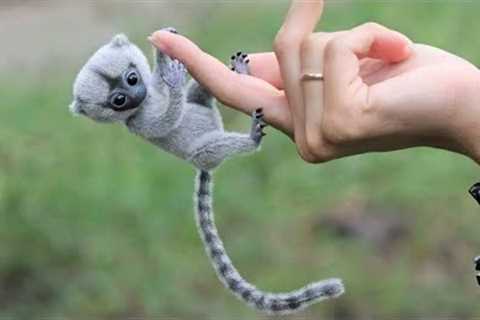 10 Cutest Exotic Animals In The World