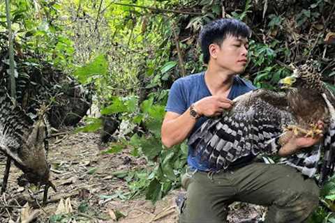 CEO returns to the primeval forest using primitive skills to trap eagles,fishing, cooking - survival
