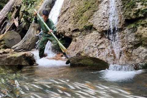Surviving in the Wild, hunting fish with bamboo spears using primitive skills, green forest life