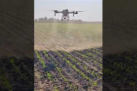 Best Agriculture Spray Drone