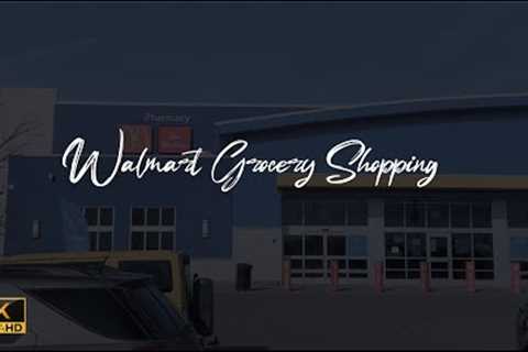 GROCERY SHOPPING 2023 | An International Student's Grocery Haul in 🇨🇦 Canada