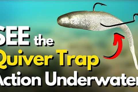 The New QUIVER TRAP Method (Watch it Underwater)