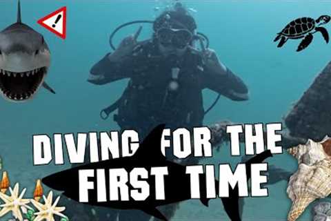 🦈 Scuba Dive with SHARKS! | From Beginner to PADI Certified in Just 4D3N at Tioman Island